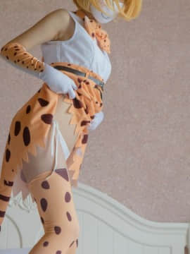 【少女映畫】Serval   藪猫(Kemono Friends)_DSC06552