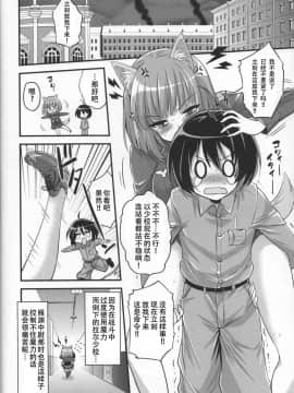 (C91) [Hasemi box (長谷見亮)] お姉ちゃんとショタのウィッチナイト (ブレイブウィッチーズ) [靴下汉化组]_IMG_0025