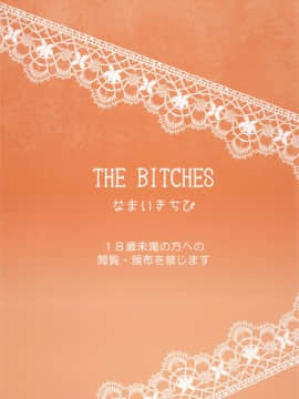 [なまいきちび(狂鶏)][THE BITCHES]_29