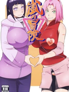 (C94) [からきし傭兵団 真雅 (砂原渉)] 嵐の冒険 (NARUTO)