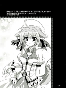 [萌舞の裏組漢化] (C83) [PLUM (かん奈)] Wonderful Ever (Dog Days)_0022