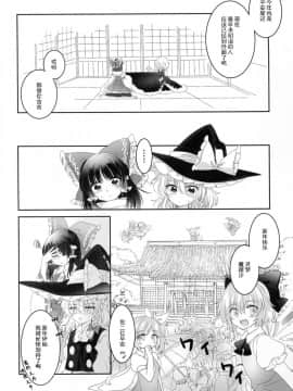 [冴月麟个人汉化] (秋季例大祭4) [お月見団子 (うるう)] Secret Love (東方Project)_25
