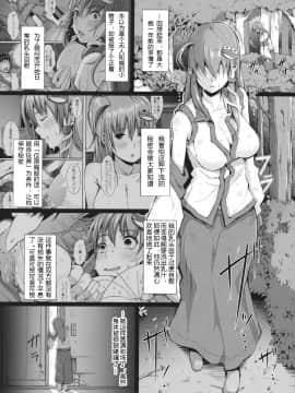 (Reitaisai 12) [Gessyu (Chouzetsu Bishoujo mine)] memoirs (Touhou Project) [Chinese] [没想好名汉化]_04