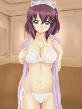 ゼロの使い魔 アンリエッタ_IMG_9732