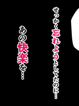 (同人CG集) [マカロニ帝国] 隣のギャル嫁を寝取って幸せにしたい だってクズ旦那のせいで彼女はいつも泣いてるから_tgsa (103)