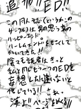 (サンクリ37) [想詰め (串カツ孔明)] 想詰めBOX II (ゼロの使い魔, 陰からマモル)_51