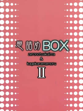 (サンクリ37) [想詰め (串カツ孔明)] 想詰めBOX II (ゼロの使い魔, 陰からマモル)_58