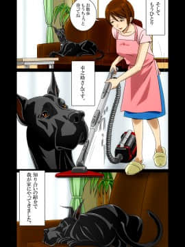『わんダフルらいふ』～主婦と“愛犬”の密やかな午後～_11_WL00_09_1500