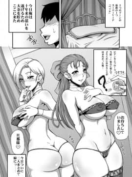 [もつ料理 (もつ)] DragonQueen's (ドラゴンクエスト)_11