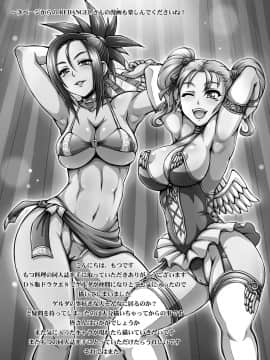 [もつ料理 (もつ)] DragonQueen's4 (ドラゴンクエストVIII)_21