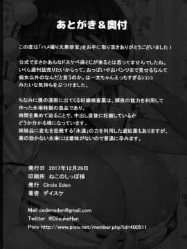 (C93) [Circle Eden (ヂイスケ)] ハメ撮り文果珍宝 (東方Project)_25