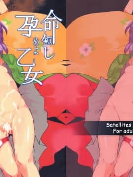 (C78) [Satellites (サテツ)] 命短し孕めよ乙女 (東方Project)