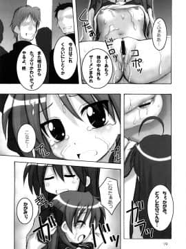 (C73) [HEARTS & CRUSTS (七名菜奈)] はぴ☆すた 2 (らき☆すた)_18