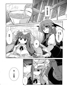 (C94) [踏月 (ふみつき)] 体だけの関係 (東方Project)  [魔恋汉化组]_0010