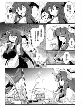 (C94) [踏月 (ふみつき)] 体だけの関係 (東方Project)  [魔恋汉化组]_0011