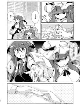 (C94) [踏月 (ふみつき)] 体だけの関係 (東方Project)  [魔恋汉化组]_0012