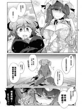 (C94) [踏月 (ふみつき)] 体だけの関係 (東方Project)  [魔恋汉化组]_0022