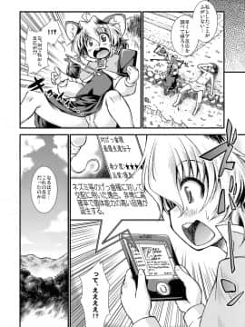 (C78) [異郷 (山崎かな)] ザ ピラミッド スキーム ナズーリン (東方Project)_17