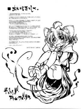 (C78) [異郷 (山崎かな)] ザ ピラミッド スキーム ナズーリン (東方Project)_18