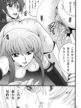 [塩屋 (塩屋舞子)] おうじさまとうさぎさんとまほうつかい (コードギアス 反逆のルルーシュ)_20
