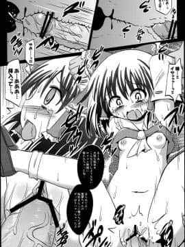 (例大祭10) [神聖ファウンテン (小泉ひつじ)] 神聖ファウンテン総集編そにょ４ (東方Project)_13