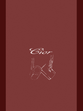 [Cior (ken-1)] あすなま5 (ソードアート・オンライン) [中国翻訳]  [無邪気漢化組] [Digital]_MJK_18_T1435_020