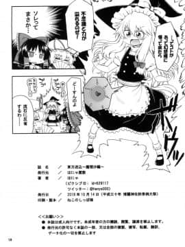 [はにゃ屋敷 (はにゃ)] 東方迷込 ～魔理沙編～ (東方Project)_18