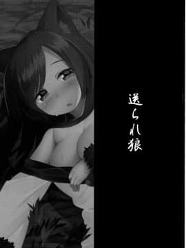 [脸肿汉化组](例大祭12) [忘らるる手紙 (びんせん)] 送られ狼 (東方Project)_03