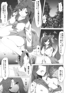 (例大祭11) [ふぇちずむ (田中銀二)] 狼は淫らに吼える (東方Project)_04