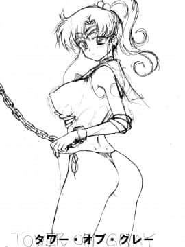 [BLACK DOG(黒犬獣)] TOWER OF GRAY (セーラームーン)[lzmcsa個人漢化]_003