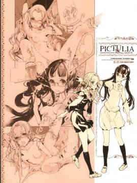 (COMIC1☆9) [70年式悠久機関 (おはぎさん)] pictulia [靴下汉化组]_002