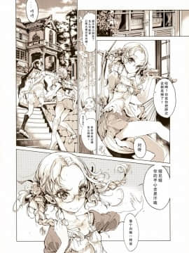(COMIC1☆9) [70年式悠久機関 (おはぎさん)] pictulia [靴下汉化组]_009