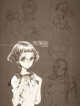 (COMIC1☆9) [70年式悠久機関 (おはぎさん)] pictulia [靴下汉化组]_038