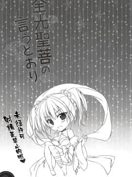 (C94) [PINK CHUCHU (みけおう)] 金光聖菩の言うとおり (千年戦争アイギス) [伊忍汉化组]_016