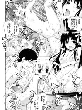 [稍日向] ぬこ巫女タン_a126