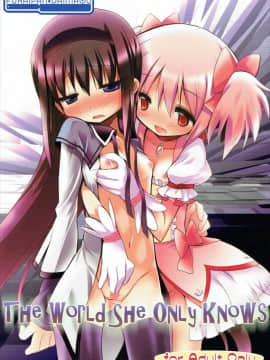 (C80) [ふらいぱん大魔王 (提灯暗光)] THE WORLD SHE ONLY KNOWS (魔法少女まどか☆マギカ)