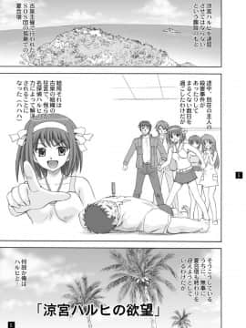 [やすりん堂 (安麟太郎)] SOS団の休日 (涼宮ハルヒの憂鬱)_04