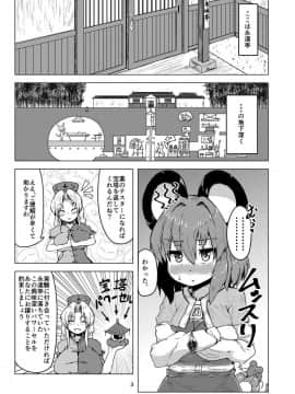[チーズカンパニー (ペソ)] 実験用ナズーリン (東方Project)_02