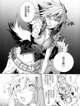 (C76) [GoldenDawn89 (狩鷹明、小野ぬい)] THE WILD LEGII [中国翻訳]_00000016