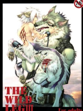 (C78) [GoldenDawn89 (狩鷹明、小野ぬい)] THE WILD LEG III [中国翻訳]_00000001