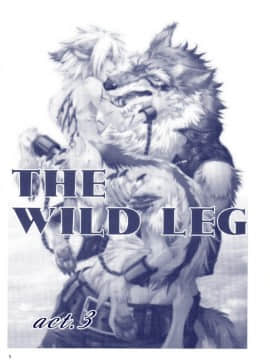 (C78) [GoldenDawn89 (狩鷹明、小野ぬい)] THE WILD LEG III [中国翻訳]_00000002