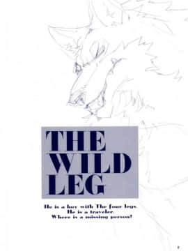 (C78) [GoldenDawn89 (狩鷹明、小野ぬい)] THE WILD LEG III [中国翻訳]_00000003