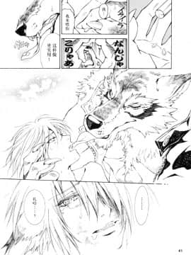 (C78) [GoldenDawn89 (狩鷹明、小野ぬい)] THE WILD LEG III [中国翻訳]_00000042