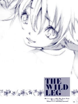 (C78) [GoldenDawn89 (狩鷹明、小野ぬい)] THE WILD LEG III [中国翻訳]_00000071