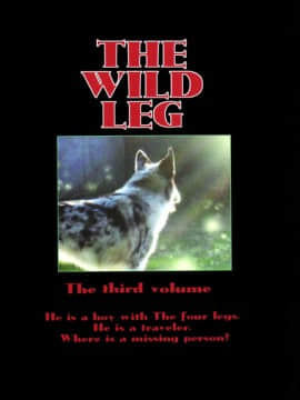 (C78) [GoldenDawn89 (狩鷹明、小野ぬい)] THE WILD LEG III [中国翻訳]_00000072