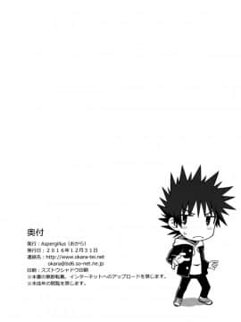 (C91) [Aspergillus (おから)] ELECTRICAL DAMAGE (とある科学の超電磁砲)_25