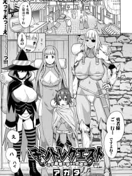 [アガタ] チントレクエスト -ショタ勇者の孕ませ珍道中