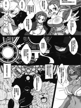 [不咕鸟汉化组] (C88) [黄泉比良坂 (bbsacon)] 堕淫の紋章 (ドラゴンクエストヒーローズ) [中国翻訳]_18