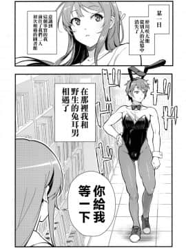 (C95) [華容道 (松果)] バニー★ラヴァーズ (青春ブタ野郎はバニーガール先輩の夢を見ない) [空気系☆漢化]_004