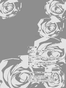 [MegaSoundOrchestra (三割引)] Danke. Auf Wiedersehen. (艦隊これくしょん -艦これ-)_03